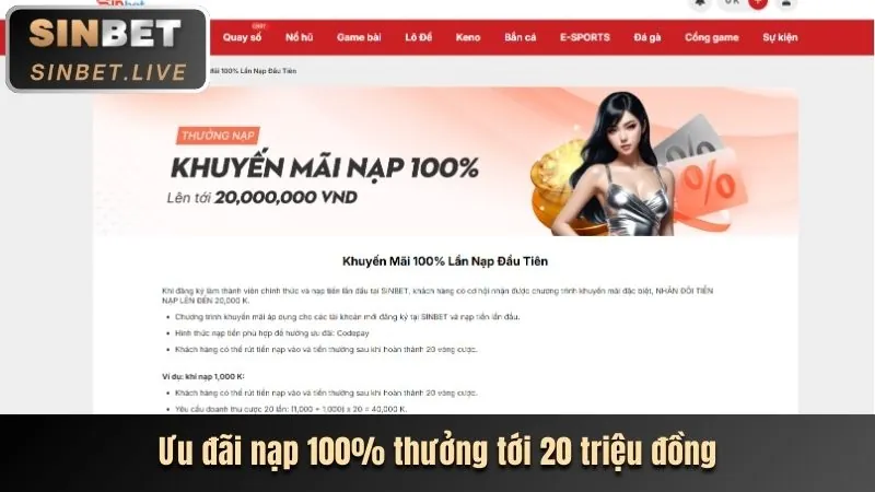Hình ảnh tổng quan về các điều khoản và điều kiện